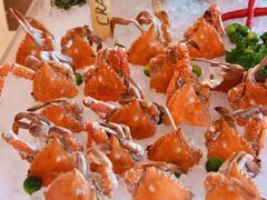 -上海龙之梦万丽酒店