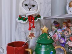-星巴克臻选(福州仓山万达店)