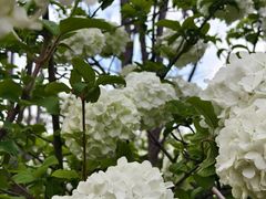 -大龙山(地铁站)