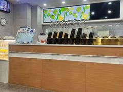 -雾与山茶(大禹城店)