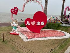 -野狸岛