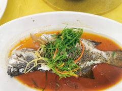 -锐记美食店·现捞海鲜(闸坡店)