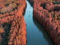 -上海海湾国家森林公园