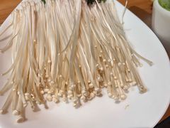 -万鼎沸菌汤火锅(柘城店)