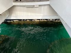 -珍珠港国家纪念馆