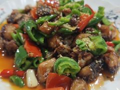 -煲来饱去冷水鱼
