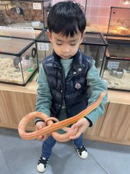 -Moni星球萌宠·小马宝莉·灵蛇·高端高阶全萌宠互动体验俱乐部(红豆国际广场店)