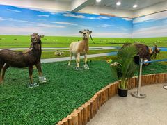 -沈阳植物园