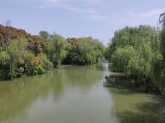 -同里国家湿地公园