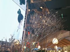 -桂满陇·海市蜃楼·黑金(国金店)