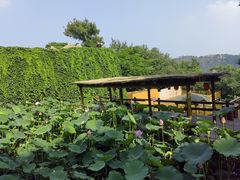 -天津盘山风景名胜区