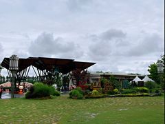 -上海长兴岛郊野公园