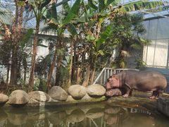 -宁波野生动物园
