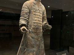 -秦始皇帝陵博物院(兵马俑)