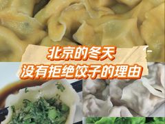 -鸿毛饺子(紫竹桥店)