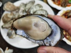 -蚝专家(北滘店)