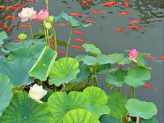 -北京市劳动人民文化宫(太庙)