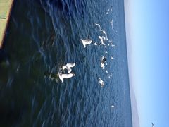 -大理无舍度假酒店