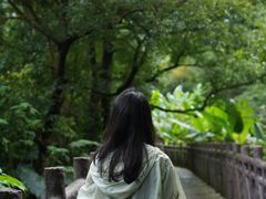 -广州市石门国家森林公园