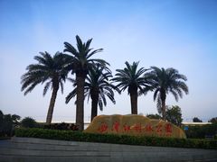 -宝安西湾红树林湿地公园