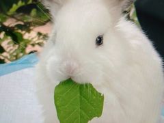 -美联众合动物医院·24h转诊中心