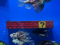 -海合安武汉极地海洋公园
