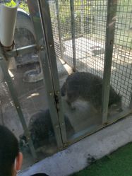 -萌宠亲子动物乐园(槐房万达店)