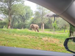 -北京野生动物园