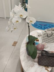 -海涛医疗美容·面部抗衰·注射美鼻