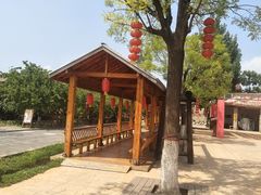 -大槐树寻根祭祖园