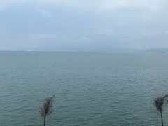 -七鲜渔港美食餐厅(巽寮湾海景店)