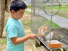 -云栖山谷野奢营地