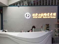 -西安小天鹅艺术团(曲江Alice店)