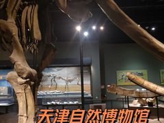 -天津自然博物馆