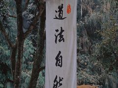 -青城山