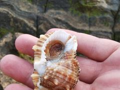 -石螺口海滩