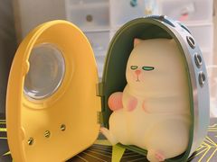 -泡泡玛特POPMART(崇文门国瑞城店)