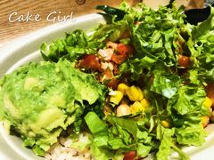 -油梨树AVOCADO TREE(望京店)