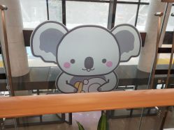 -大连市妇女儿童医疗中心(希望广场儿童院区)