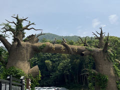 -梅岭月亮湾山体公园
