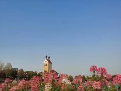 -花博汇(知音花月夜)
