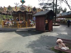 -成飞公园