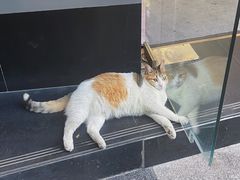 -思南公馆商业街