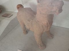 -北京动物园-畅观楼