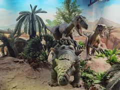 -国家自然博物馆