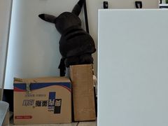 -张家口宁远机场