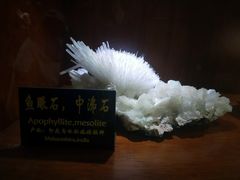 -青岛德国总督楼旧址博物馆