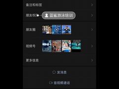 -飞鲨游泳培训学校