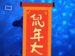 游乐设施-上海海昌海洋公园