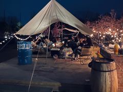 -TIPPI营地 房车主题·露营烧烤团建轰趴(天安假日店)